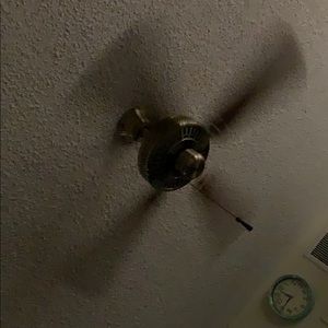 Meet your Posher, Cat